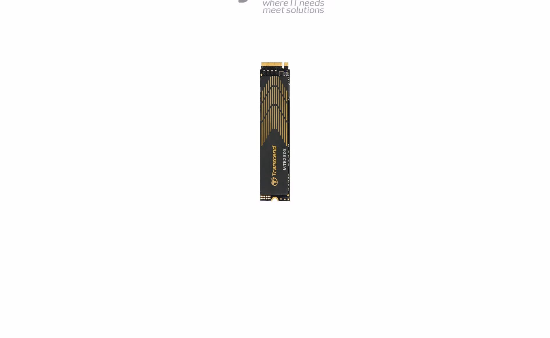 Transcend PCIe SSD MTE250S 1TB