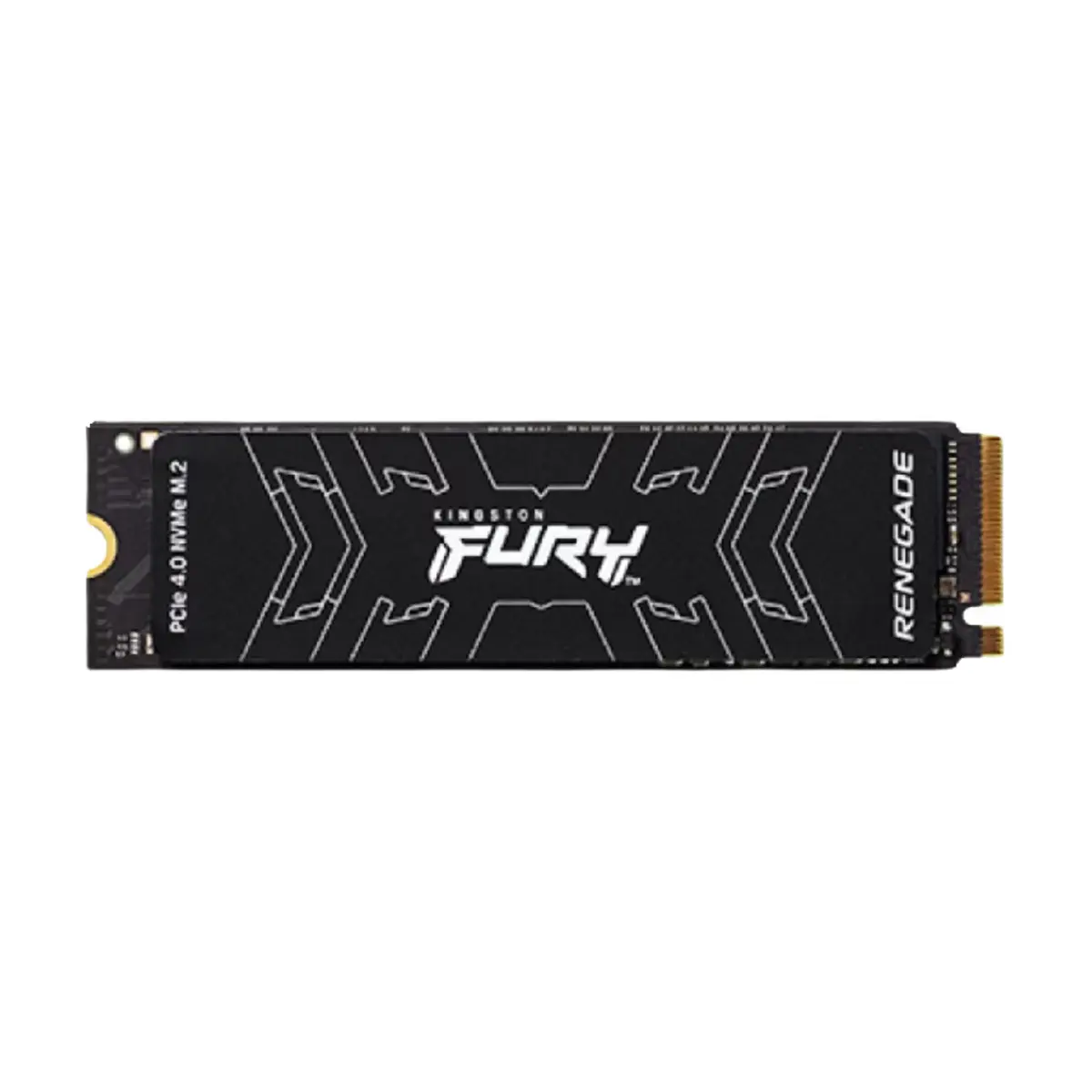 Kingston FURY RENEGADE 500GB NVMe M.2 | SFYRSK/500G