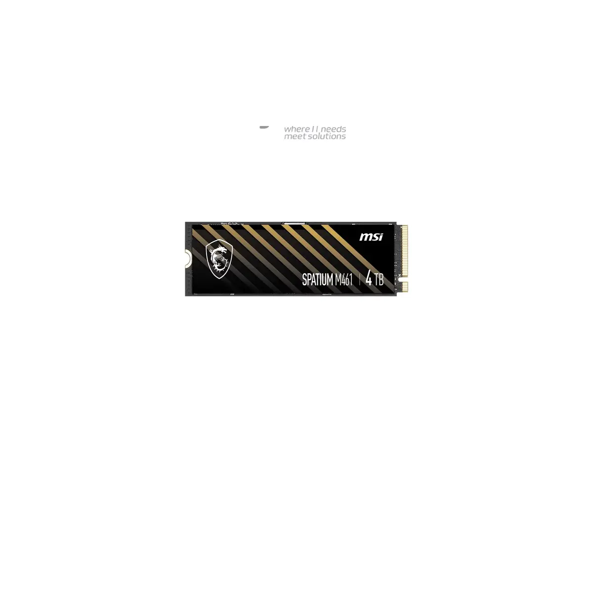 MSI Spatium M461 PCie 4.0 NVme M.2 4TB