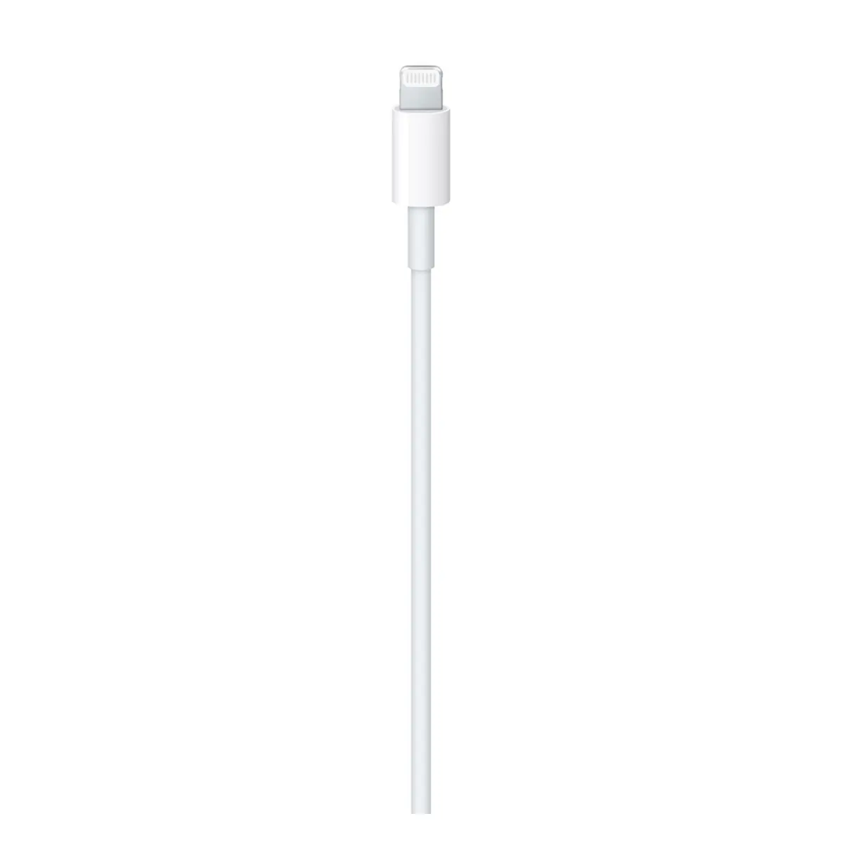 USB-C to Lightning Cable (1m) image 2