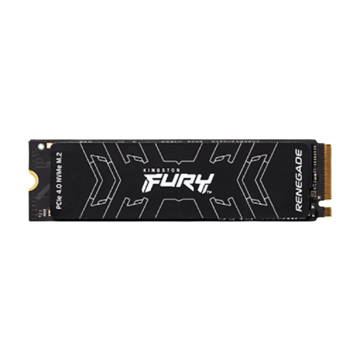 Kingston FURY RENEGADE 500GB NVMe M.2 | SFYRSK/500G