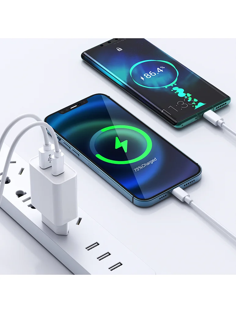 Dual USB Quick Wall Charger 20W image 2