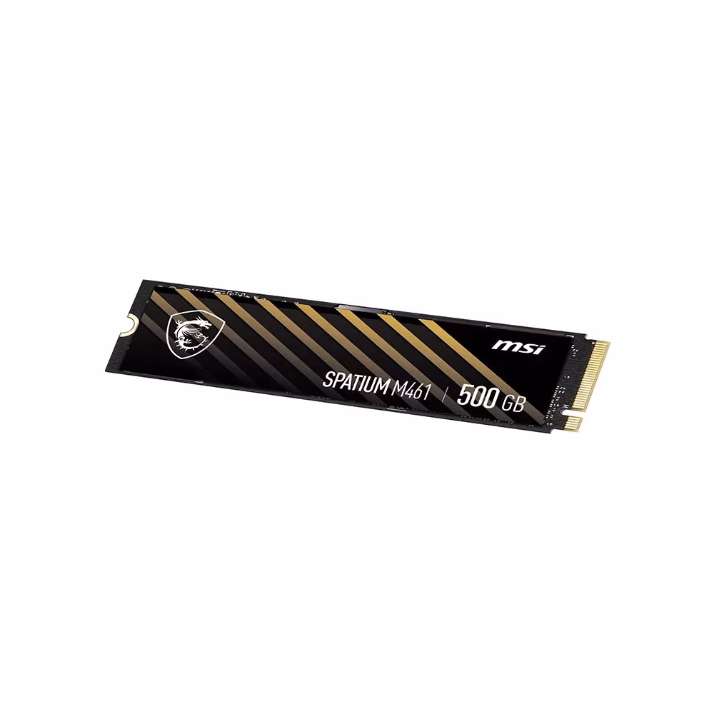 Spatium M461 PCie 4.0 NVme M.2 500 GB